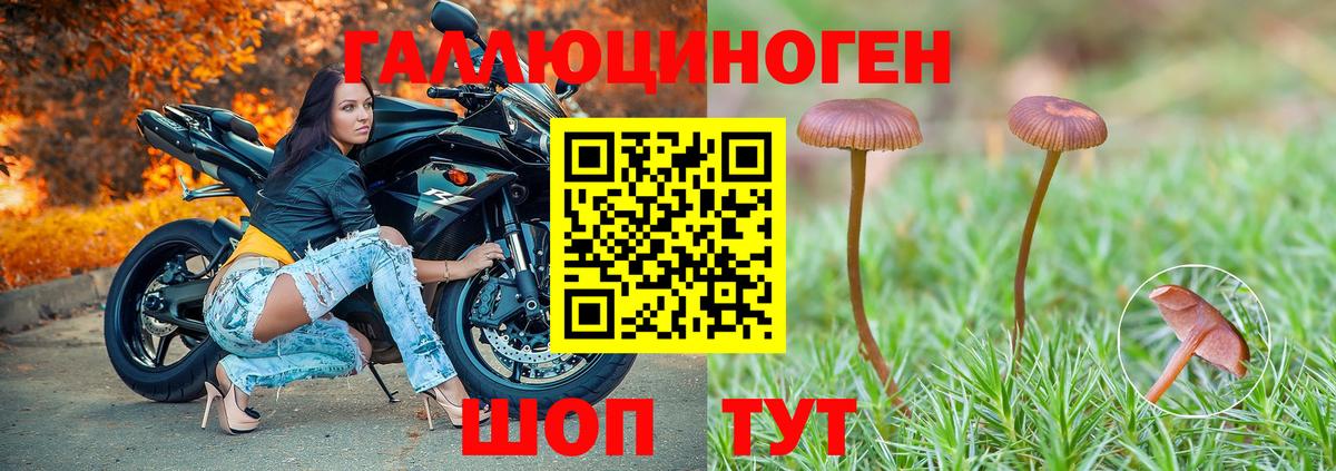Псилоцибиновые грибы мухоморы  купить закладку  Луга  Вход с VPN 