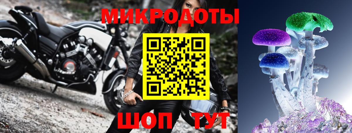 Псилоцибиновые грибы мицелий Луга
